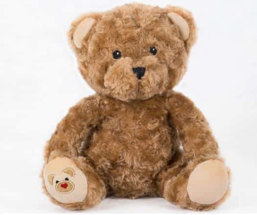 Honey the heart recording bear Plush heart recording bear